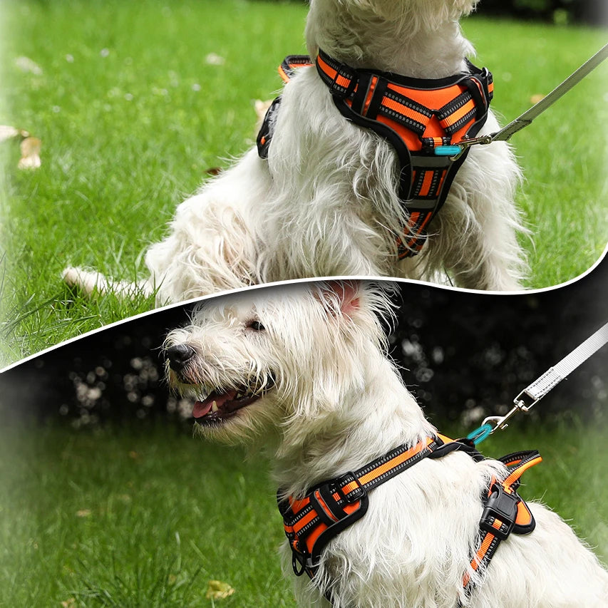Adjustable Reflective Dog Harness - Lightweight Vest for All Breeds with Breathable Mesh and Safety Features 2