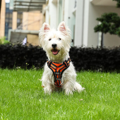 Adjustable Reflective Dog Harness - Lightweight Vest for All Breeds with Breathable Mesh and Safety Features 3