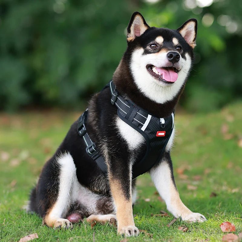 Adjustable Reflective Dog Harness with Handle – Comfortable Nylon Walking Harness for All Sizes 1