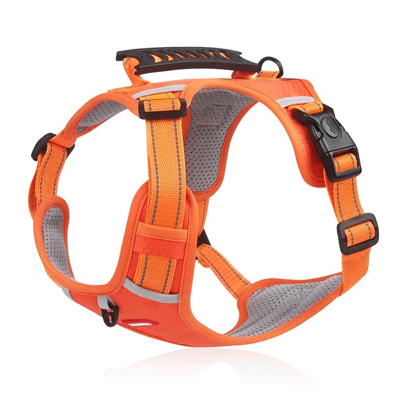 Adjustable Reflective Dog Harness with Handle – Comfortable Nylon Walking Harness for All Sizes 10