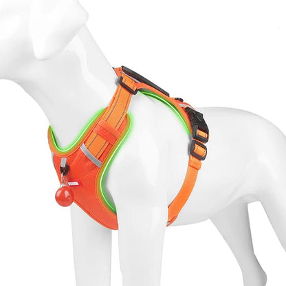 Adjustable Reflective Dog Harness with Handle – Comfortable Nylon Walking Harness for All Sizes 2