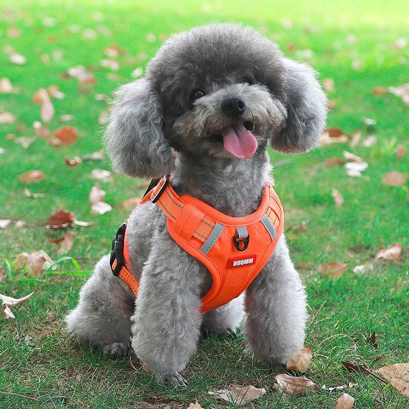 Adjustable Reflective Dog Harness with Handle – Comfortable Nylon Walking Harness for All Sizes 4