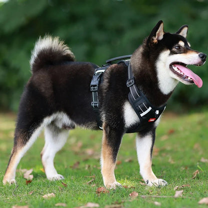 Adjustable Reflective Dog Harness with Handle – Comfortable Nylon Walking Harness for All Sizes 8