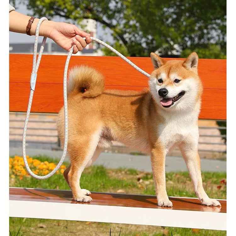 Adjustable Reflective Dog Leash for Medium and Large Dogs – Durable No-Pull Nylon Design for Safe Nighttime Walks 4