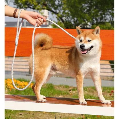Adjustable Reflective Dog Leash for Medium and Large Dogs – Durable No-Pull Nylon Design for Safe Nighttime Walks 4