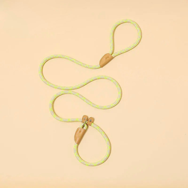 Adjustable Reflective Dog Leash for Medium and Large Dogs – Durable No-Pull Nylon Design for Safe Nighttime Walks 9
