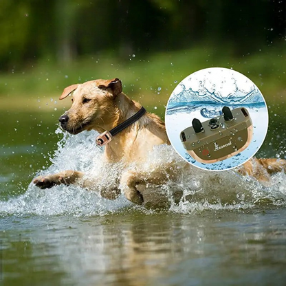 Adjustable Shock Collar for Dogs with 670m Range – Waterproof Dog Training Collar with Versatile Modes and Long Battery Life 4