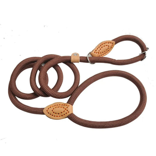 Adjustable Slip Rope Dog Leash for Medium & Large Dogs – Heavy-Duty Training Lead with Collarless Control 0