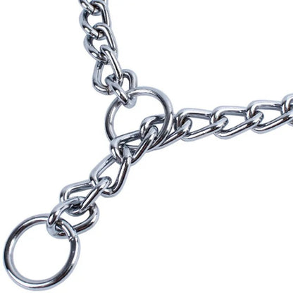 Adjustable Stainless Steel Dog Training Collar – Durable Slip Chain for Strong Breeds, Lightweight, Silver, Sizes S-XL 3
