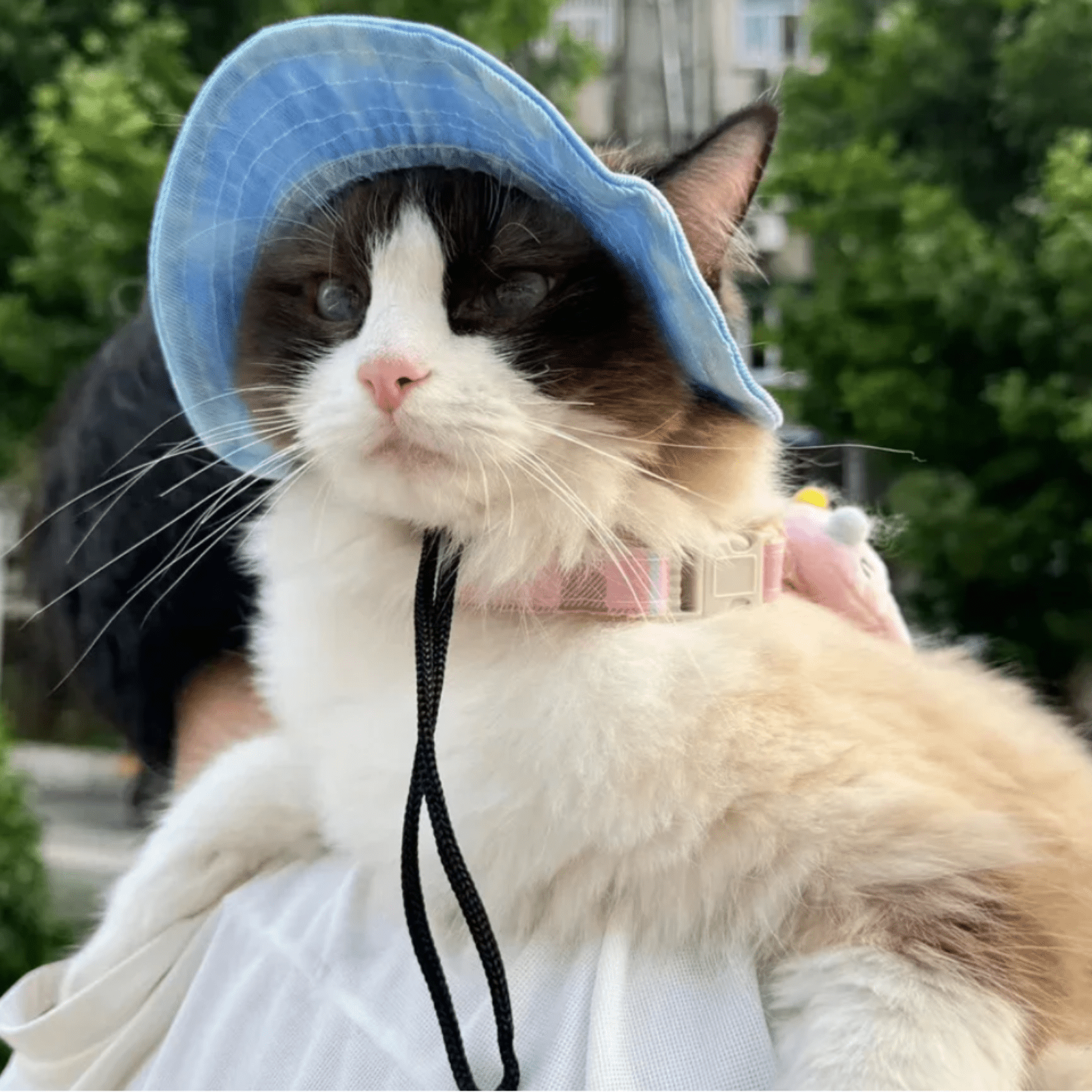 Adjustable Summer Sun Hat for Cats and Dogs – Lightweight, Breathable Pet Accessory for Sun Protection 3