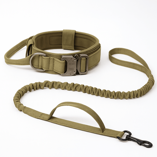 Adjustable Tactical Dog Collar and Shock-Absorbing Bungee Leash Set for Medium to Large Dogs - Reflective Design, Comfortable Nylon and Cotton 0