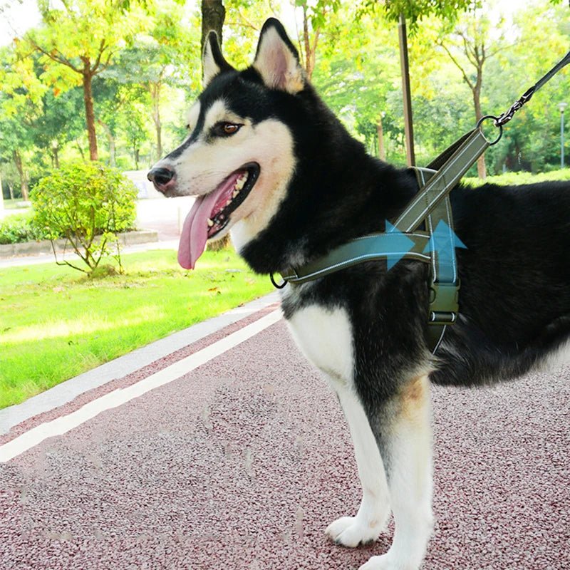 Adjustable Tactical Dog Harness for Medium and Large Dogs – Lightweight Durable Nylon for Training and Outdoor Use 1