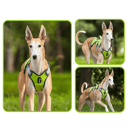 Adjustable Waterproof Dog Harness for Medium and Large Dogs – Reflective Strips for Safety and Comfort 5