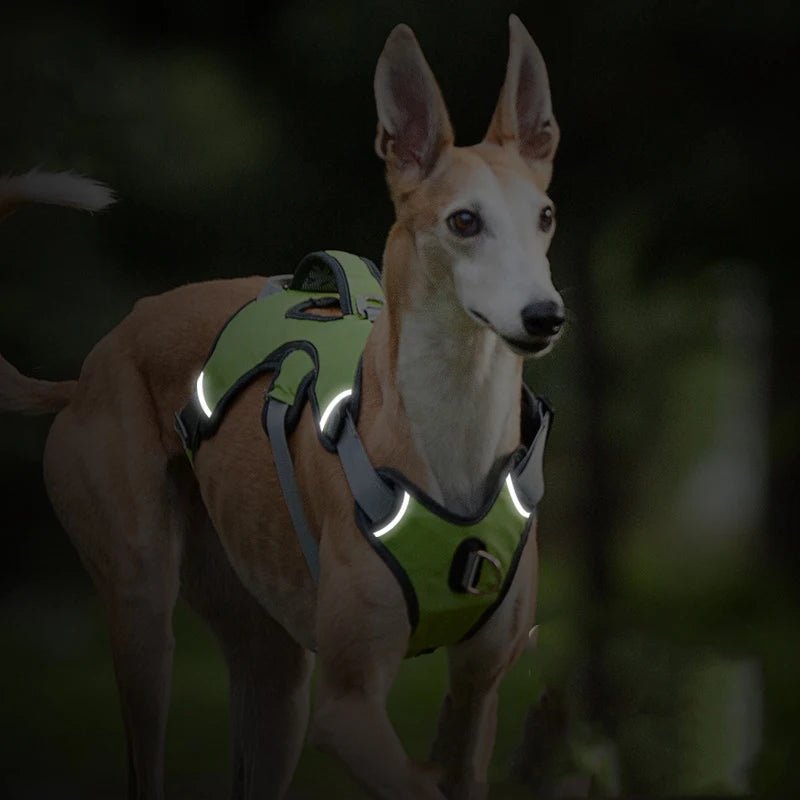 Adjustable Waterproof Dog Harness for Medium and Large Dogs – Reflective Strips for Safety and Comfort 8
