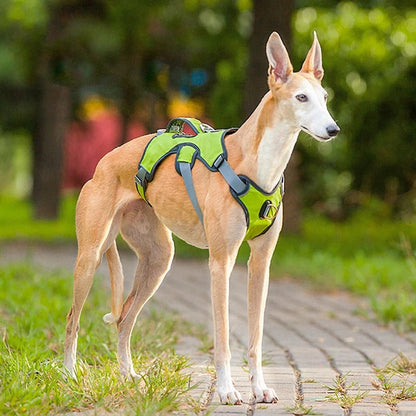 Adjustable Waterproof Dog Harness for Medium to Large Dogs with Reflective Strips for Safety – Durable Oxford Fabric 2