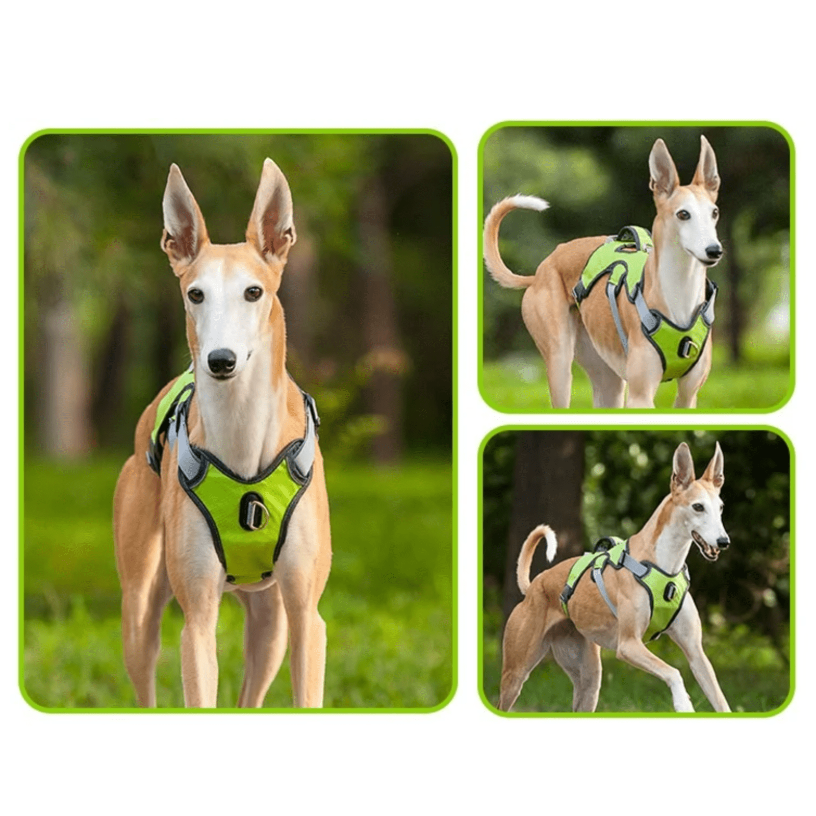 Adjustable Waterproof Dog Harness for Medium to Large Dogs with Reflective Strips for Safety – Durable Oxford Fabric 6