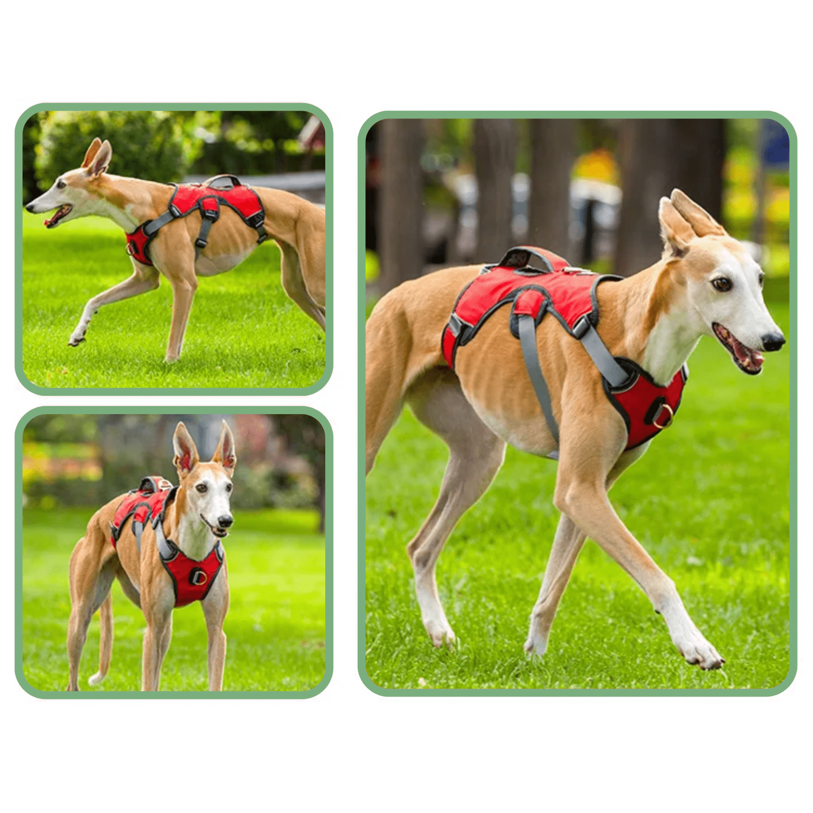 Adjustable Waterproof Dog Harness for Medium to Large Dogs with Reflective Strips for Safety – Durable Oxford Fabric 8