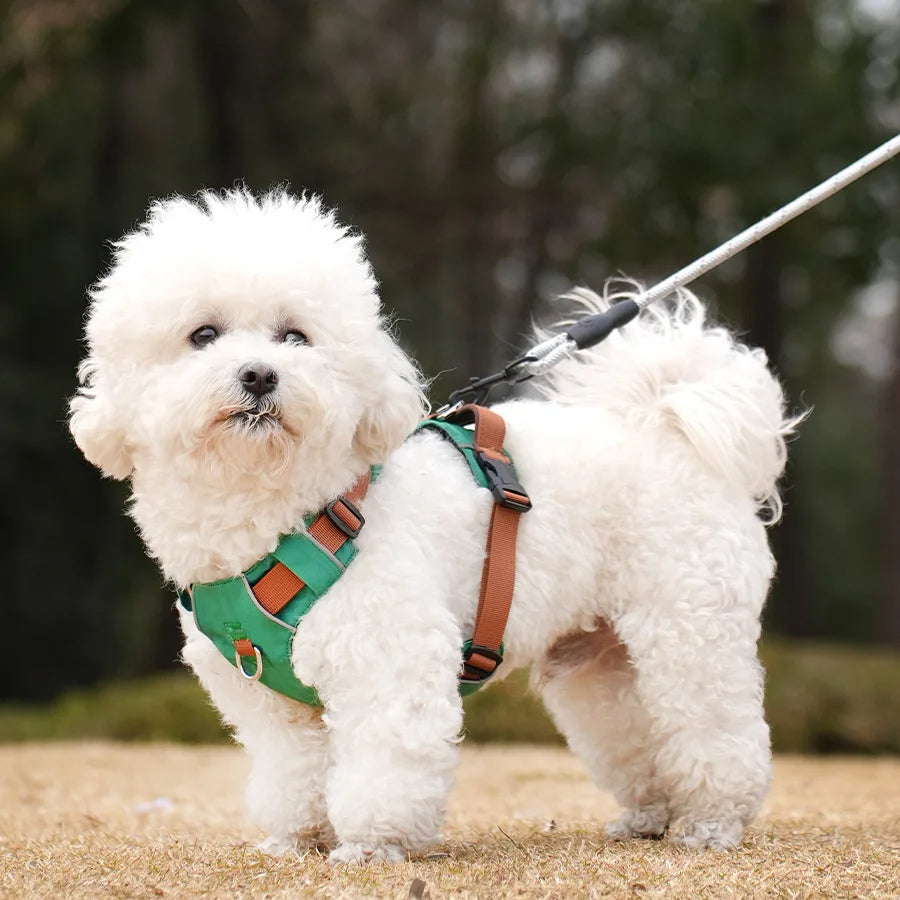 Adjustable Waterproof Dog Harness with Reflective Accents for Medium to Large Breeds – Comfortable Soft Padding and Secure Leash Attachment 4