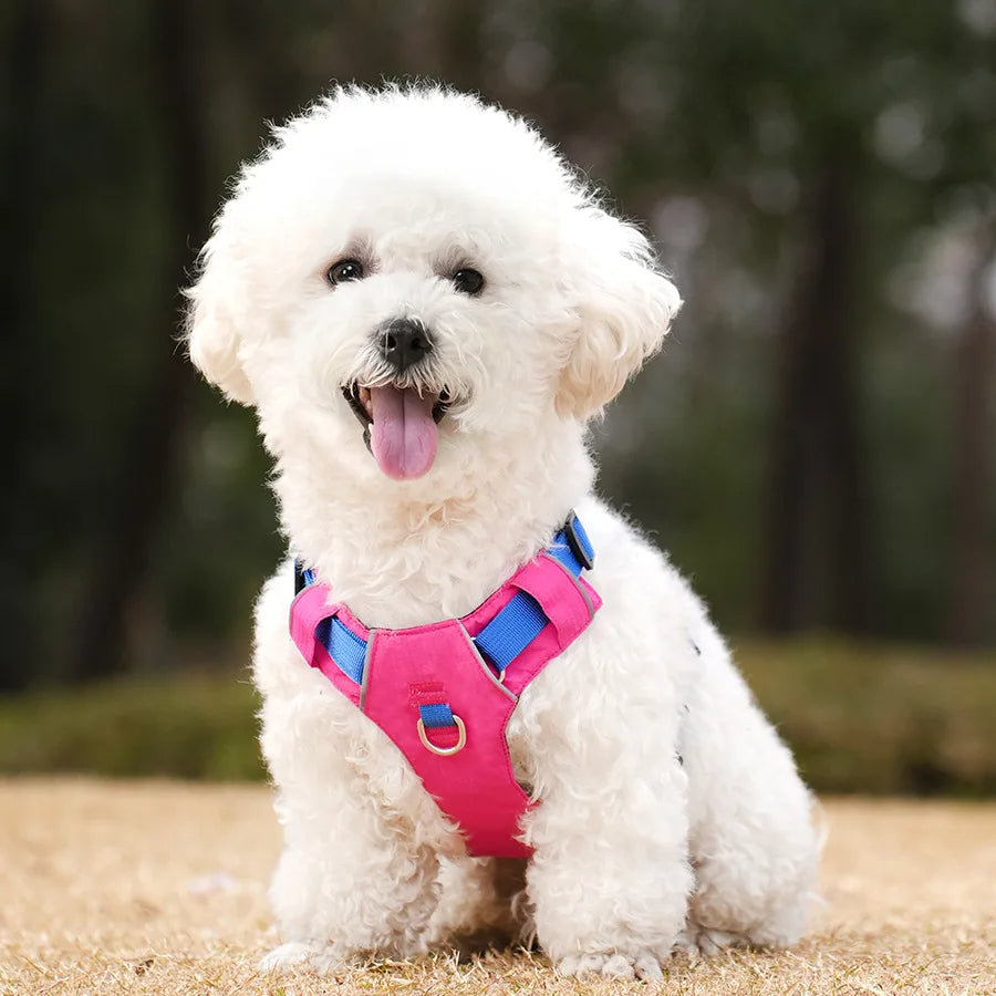 Adjustable Waterproof Dog Harness with Reflective Accents for Medium to Large Breeds – Comfortable Soft Padding and Secure Leash Attachment 5