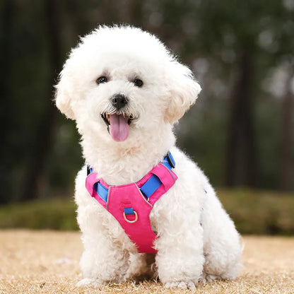 Adjustable Waterproof Dog Harness with Reflective Accents for Medium to Large Breeds – Comfortable Soft Padding and Secure Leash Attachment 5