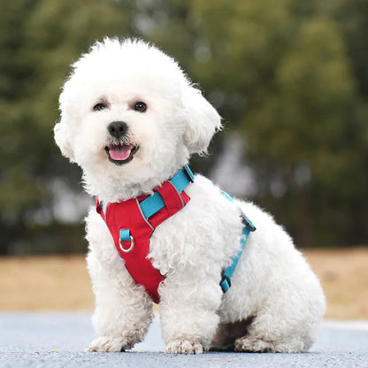 Adjustable Waterproof Dog Harness with Reflective Accents for Medium to Large Breeds – Comfortable Soft Padding and Secure Leash Attachment 6