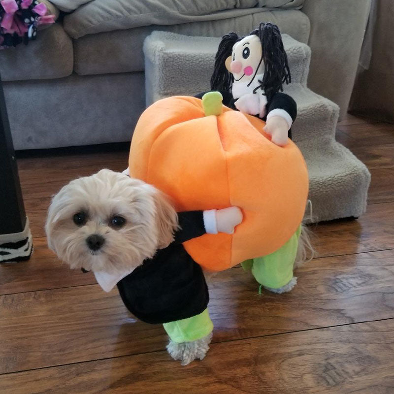 Adorable Dog Pumpkin Costume for Halloween – Comfortable and Warm Outfit for Small to Large Dogs 1
