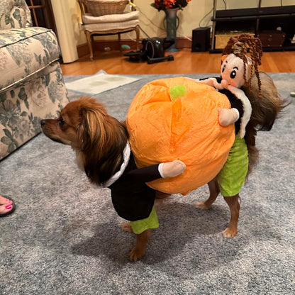 Adorable Dog Pumpkin Costume for Halloween – Comfortable and Warm Outfit for Small to Large Dogs 2