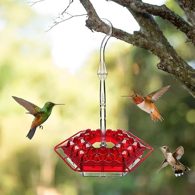 Ant-Proof Hanging Hummingbird Feeder with 30 Feeding Ports and Resting Perch 0
