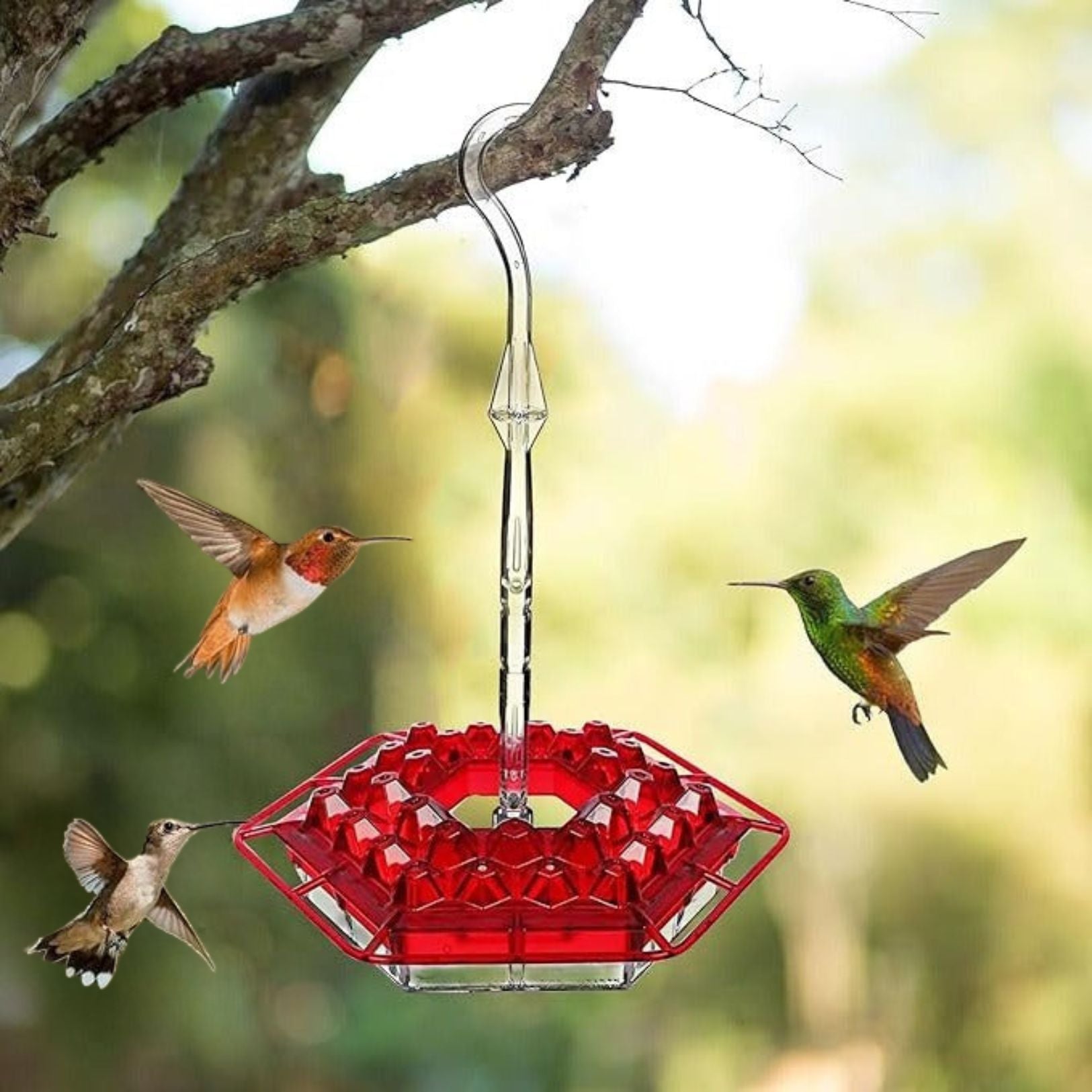 Ant Proof Hummingbird Feeder with 30 Feeding Ports – Durable UV-Resistant Design for Easy Cleaning 1