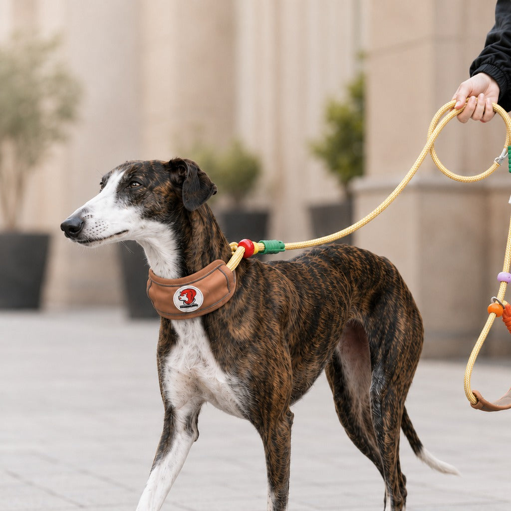 Anti-Choke Dog Leash featuring padded neck protection and adjustable control, designed for medium to large dogs with a durable rope construction. 0