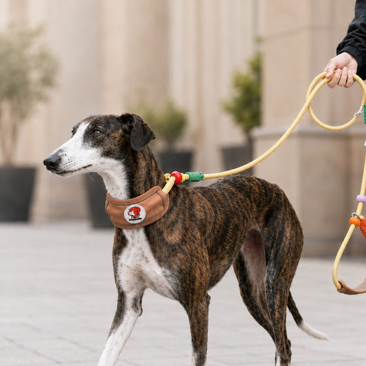 Anti-Choke Dog Leash featuring padded neck protection and adjustable control, designed for medium to large dogs with a durable rope construction. 0