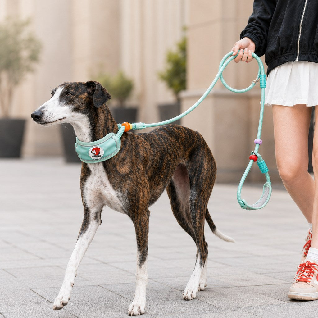Anti-Choke Dog Leash featuring padded neck protection and adjustable control, designed for medium to large dogs with a durable rope construction. 1