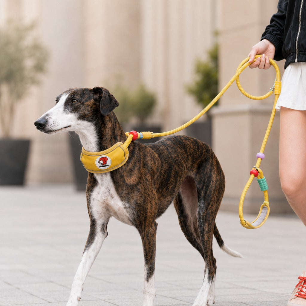Anti-Choke Dog Leash featuring padded neck protection and adjustable control, designed for medium to large dogs with a durable rope construction. 10