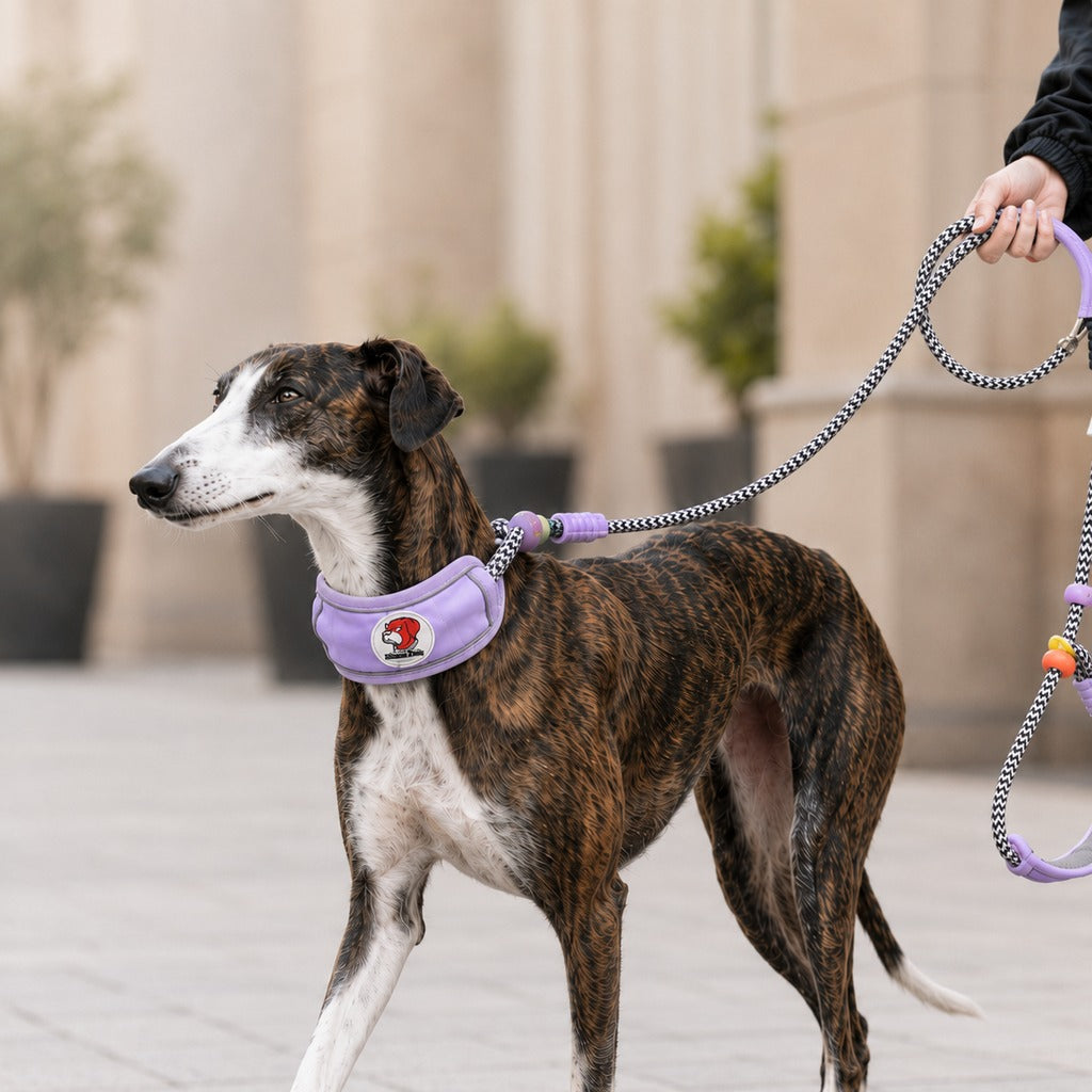 Anti-Choke Dog Leash featuring padded neck protection and adjustable control, designed for medium to large dogs with a durable rope construction. 11