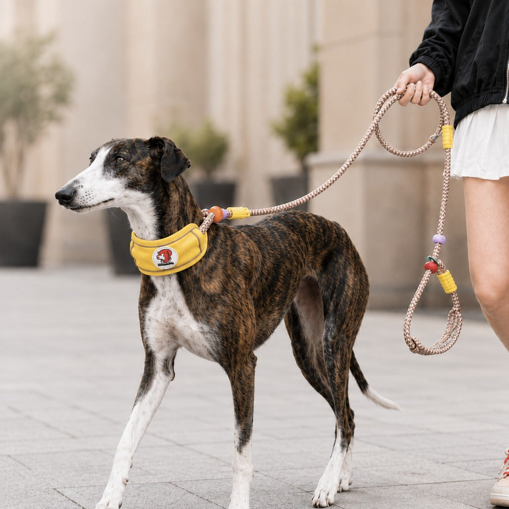 Anti-Choke Dog Leash featuring padded neck protection and adjustable control, designed for medium to large dogs with a durable rope construction. 12