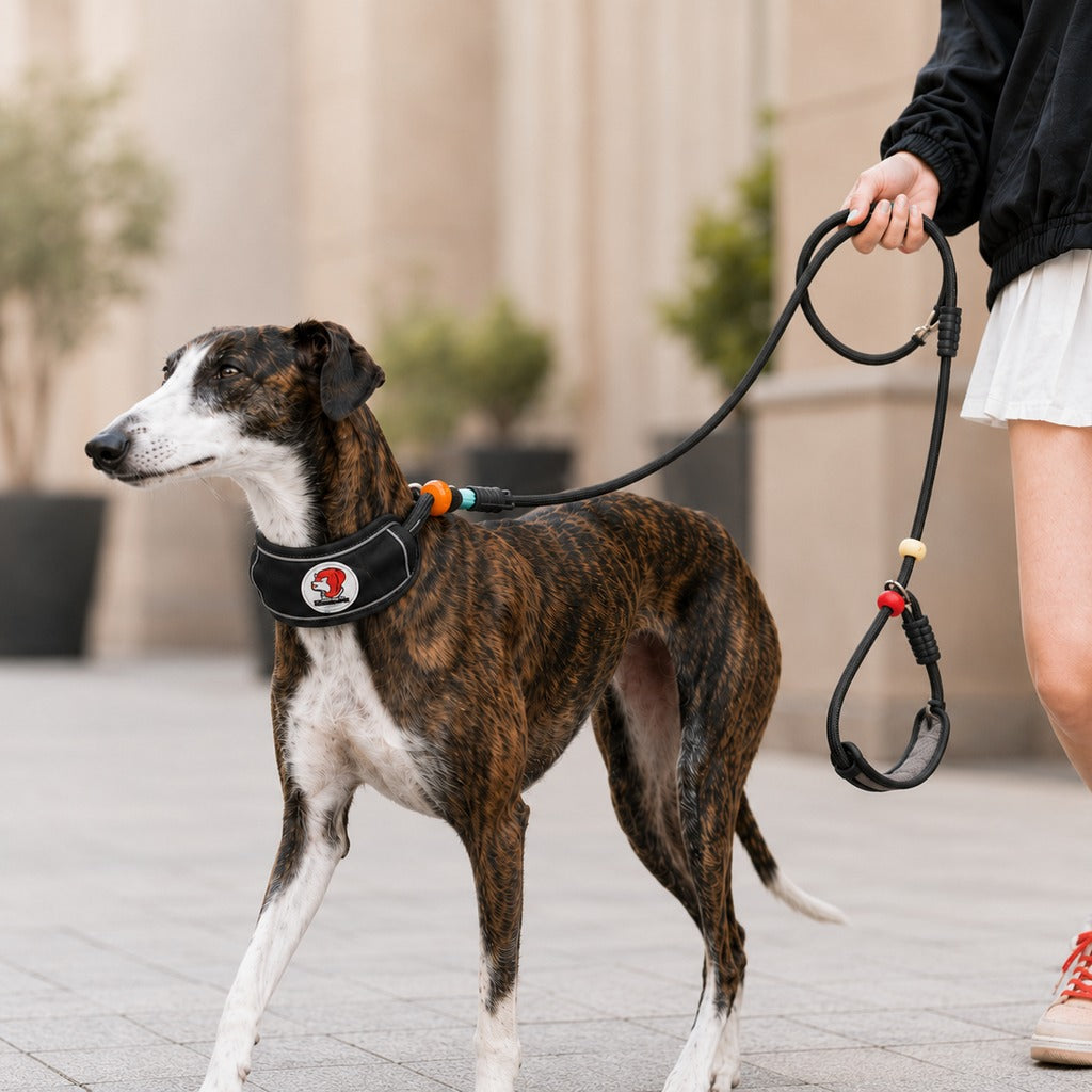 Anti-Choke Dog Leash featuring padded neck protection and adjustable control, designed for medium to large dogs with a durable rope construction. 13