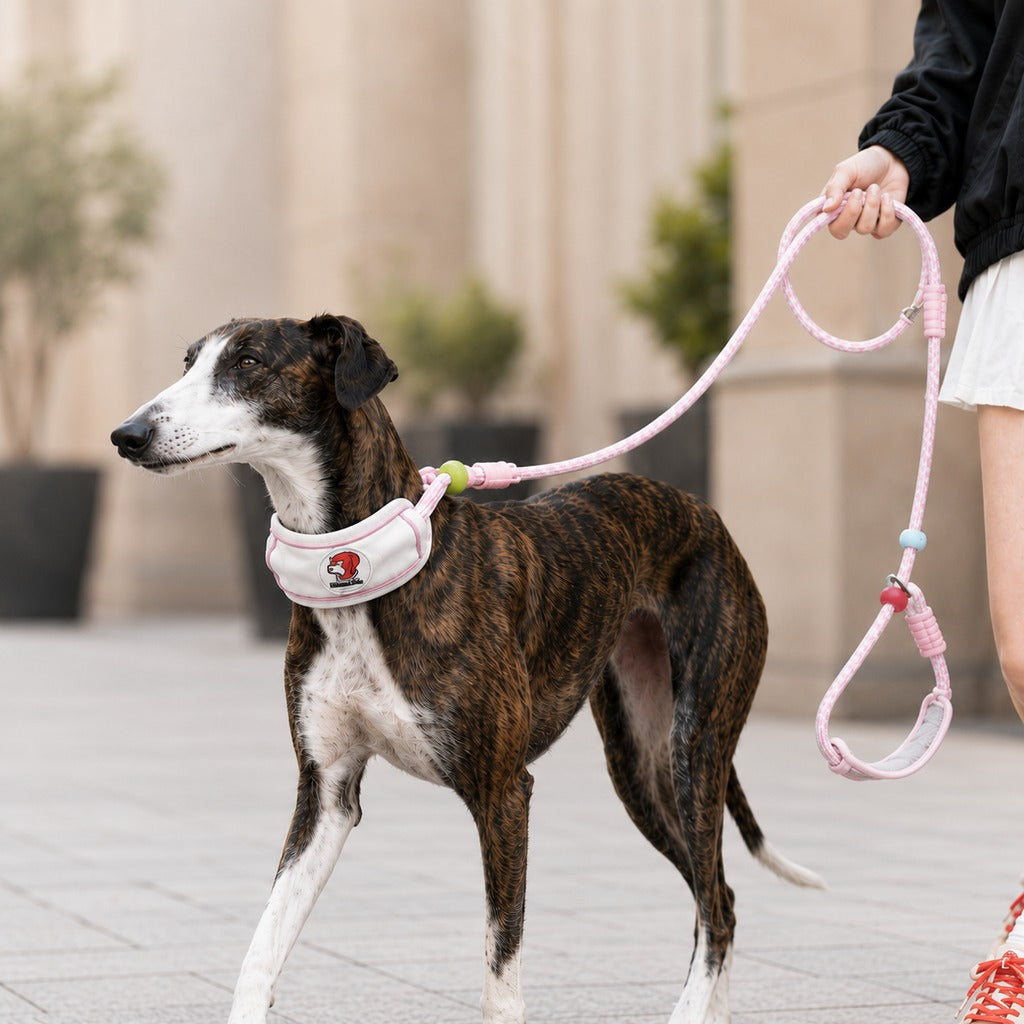 Anti-Choke Dog Leash featuring padded neck protection and adjustable control, designed for medium to large dogs with a durable rope construction. 9