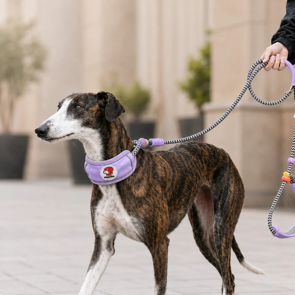 Anti-Choke Dog Leash featuring padded neck protection, designed for medium to large dogs, with adjustable control and a thick rope lead for enhanced comfort and 11