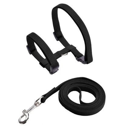 Anti-Escape H-Shape Harness with Leash for Small Dogs and Cats – Adjustable Comfortable Nylon Design 0