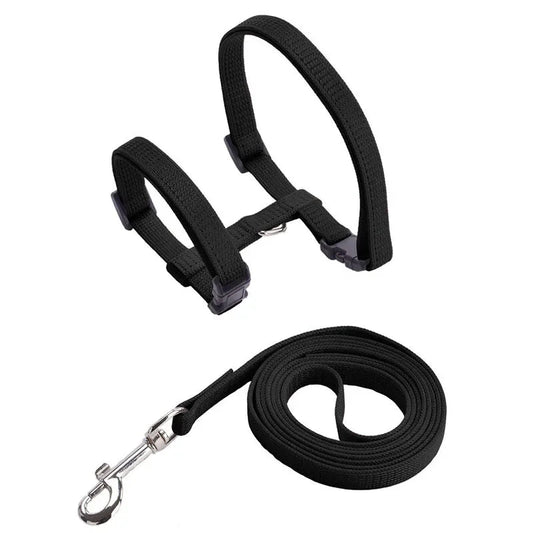 Anti-Escape H-Shape Harness with Leash for Small Dogs and Cats – Adjustable Comfortable Nylon Design 0