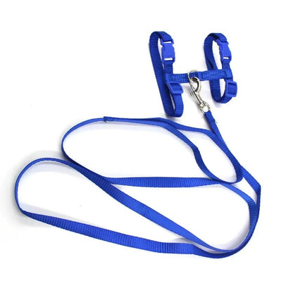 Anti-Escape H-Shape Harness with Leash for Small Dogs and Cats – Adjustable Comfortable Nylon Design 1