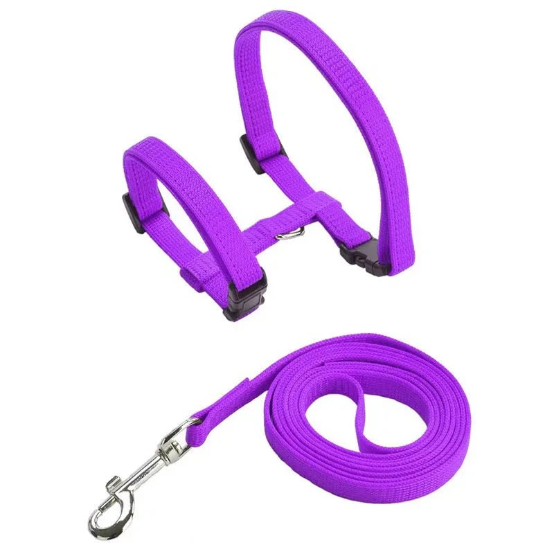 Anti-Escape H-Shape Harness with Leash for Small Dogs and Cats – Adjustable Comfortable Nylon Design 12
