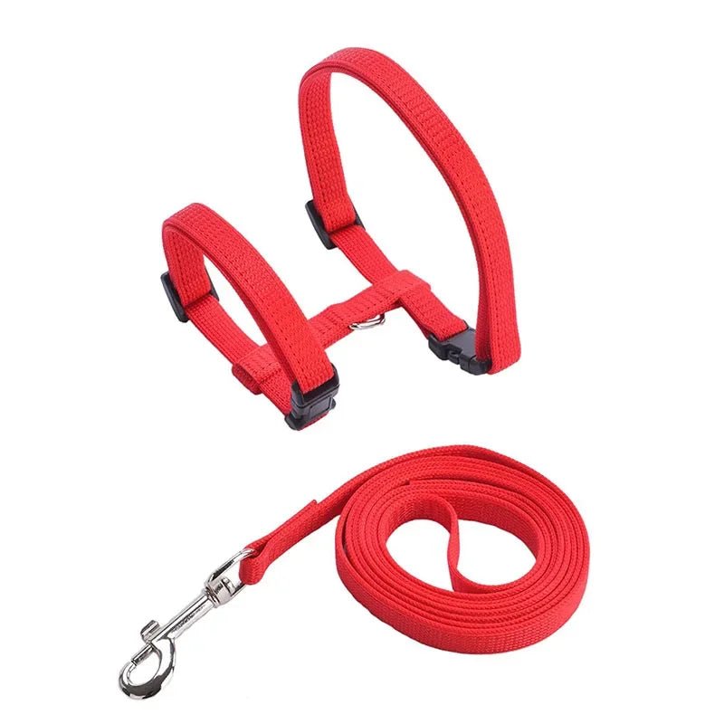 Anti-Escape H-Shape Harness with Leash for Small Dogs and Cats – Adjustable Comfortable Nylon Design 14