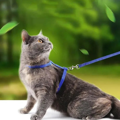 Anti-Escape H-Shape Harness with Leash for Small Dogs and Cats – Adjustable Comfortable Nylon Design 2