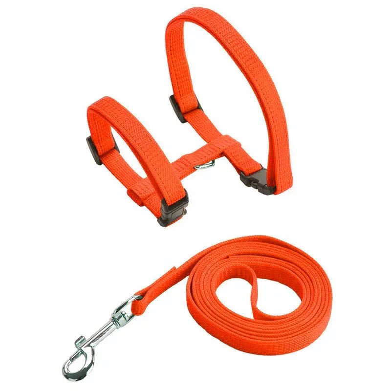 Anti-Escape H-Shape Harness with Leash for Small Dogs and Cats – Adjustable Comfortable Nylon Design 9