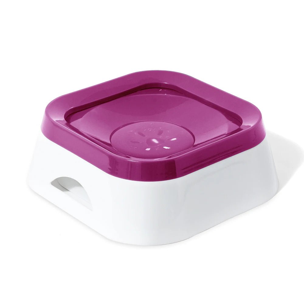 Anti-Leak Dog Drinking Bowl with Slow Feeder Design – Non-Slip Base for All Breeds 6