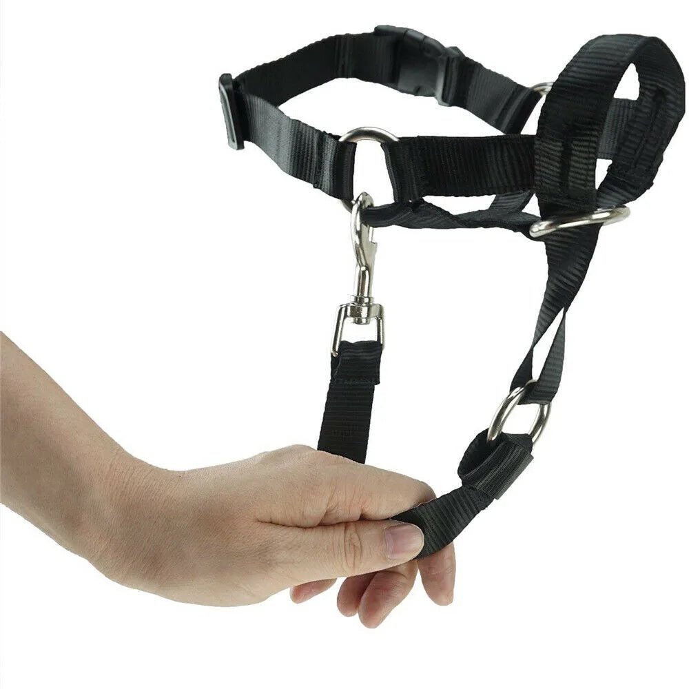 Anti-Pull Dog Halter for Training – Adjustable Halti-Style Head Harness 1