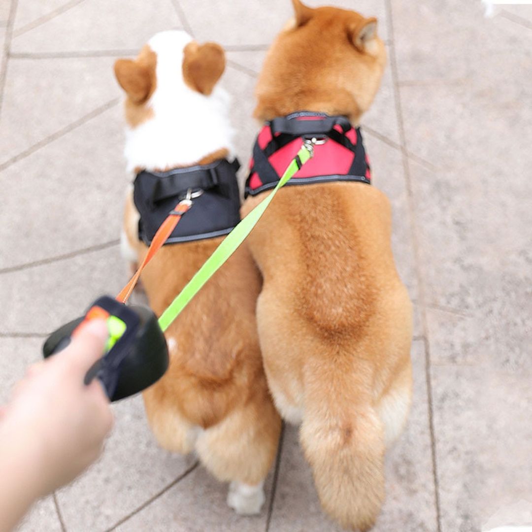 Anti-tangle double dog leash made from durable pet-safe materials, featuring adjustable length for easy walking with two dogs. 5