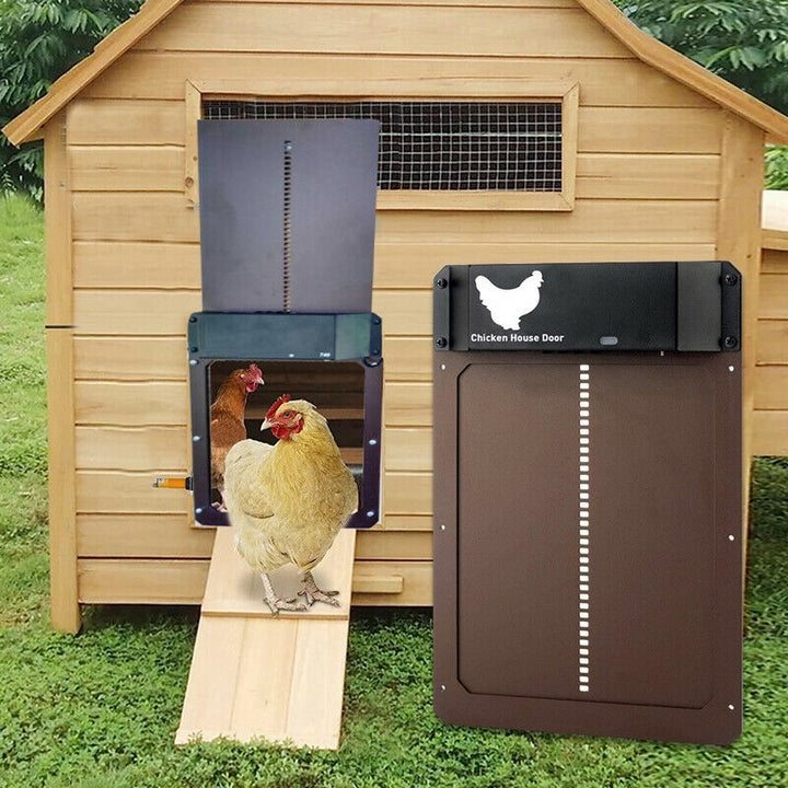 Automatic Chicken Coop Door with Timer and Light Sensor – Weatherproof Aluminum Design, Safe and Easy to Install 1