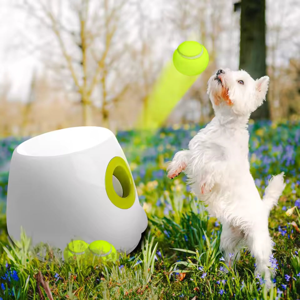 Automatic Dog Ball Launcher for Small Dogs – Interactive Fetch Machine with Adjustable Distance Settings and Motion Sensor Technology 3
